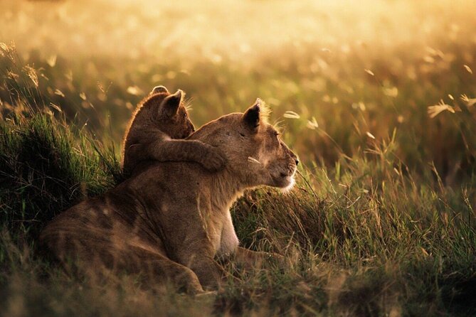 3-Day Serengeti & Ngorongoro Private Tour