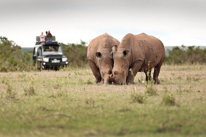 3-Day Solio Ranch Safari - Pricing Details
