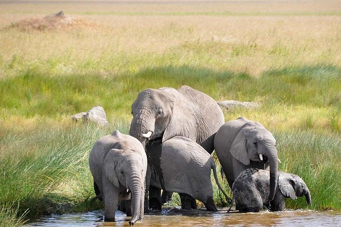 3 Day: Tarangire, Ngorongoro Crater and Lake Manyara N.P - Booking Information