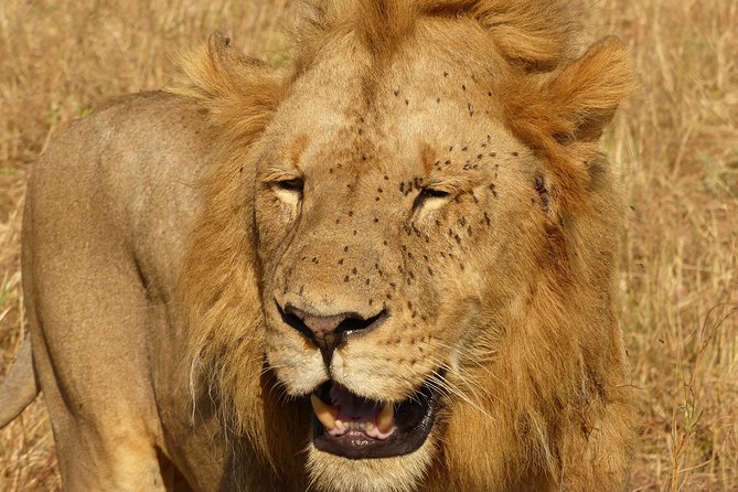 3 Day - Tarangire, Ngorongoro Crater Lake Manyara- Mid - Range - Tour Itinerary