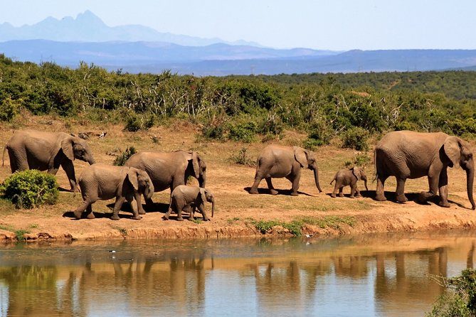3-Day Tour to Queen Elizabeth National Park - Price Inclusions
