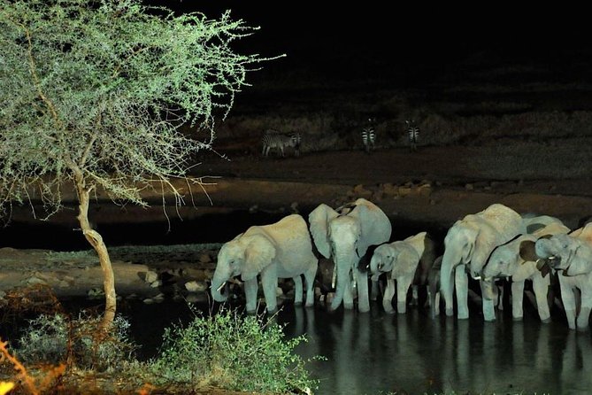 3-Day Tsavo West Safari From Mombasa - Wildlife Encounters and Sightings