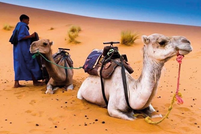 3 Days 2 Nights From Errachidia to Merzouga Desert - Meeting and Pickup Points