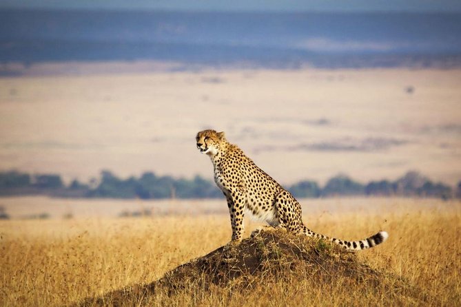 3 Days, 2 Nights Masai Mara Group Joining Safari - Group Joining Details