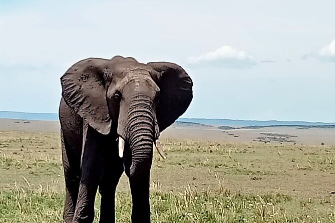 3 Days 2 Nights Masai Mara Joining Safari From Nairobi - Safari Duration and Destination