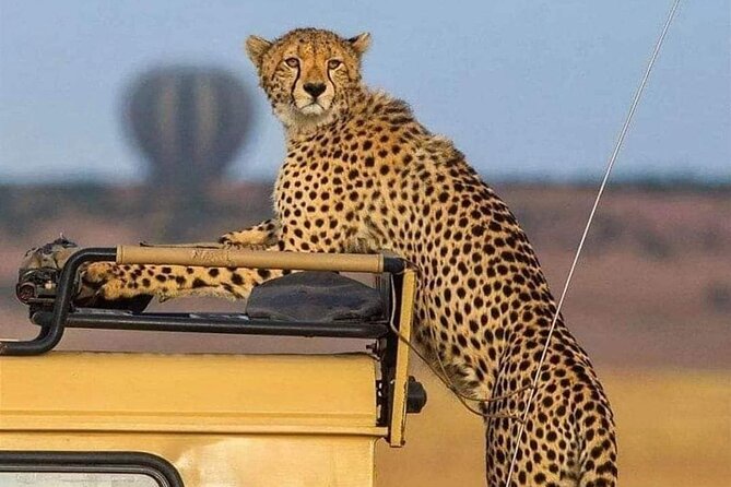 3 Days /2 Nights Serengeti and Ngorongoro Crater - Itinerary Overview