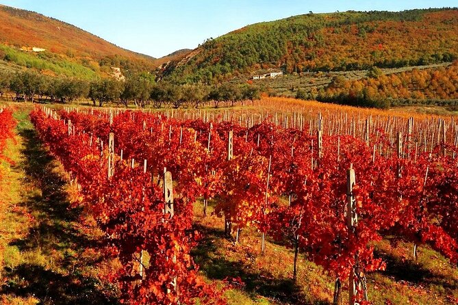 3 Days Best of Tuscany Private Tour - Itinerary Highlights