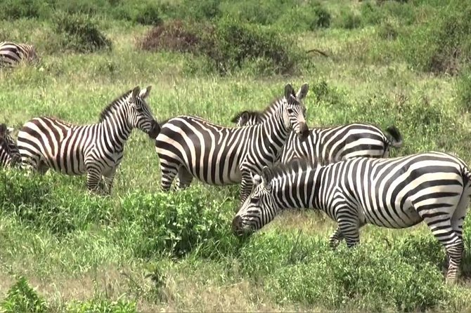 3 Days Group Joining Safari to Maasai Mara With a Land Cruiser Jeep - Practical Information