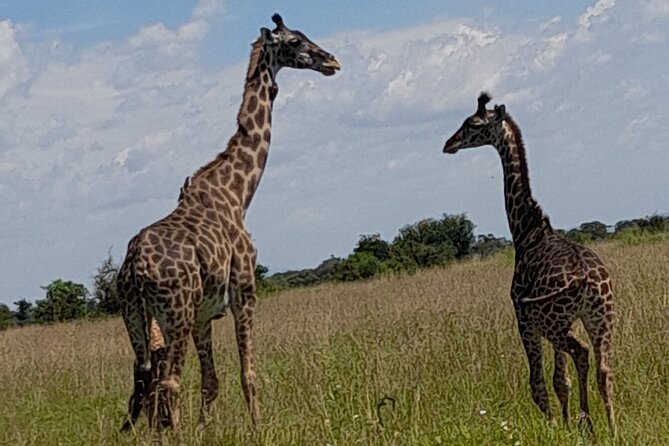 3 Days In Ngorongoro Crater, Tarangire & Manyara Private Safari - Inclusions and Exclusions