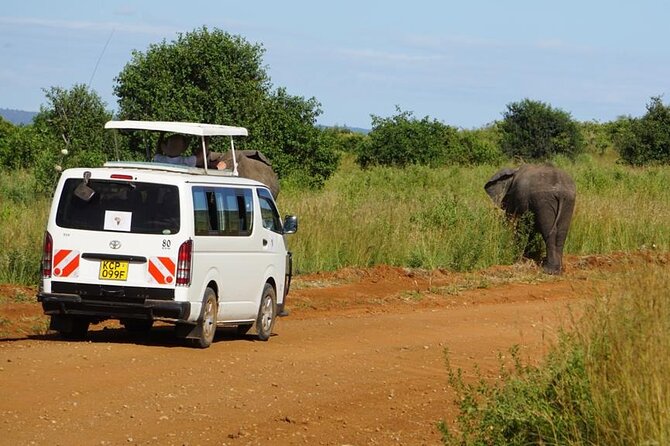 3 Days Maasai Mara Guided Safari From Nairobi - Detailed Itinerary for the Safari