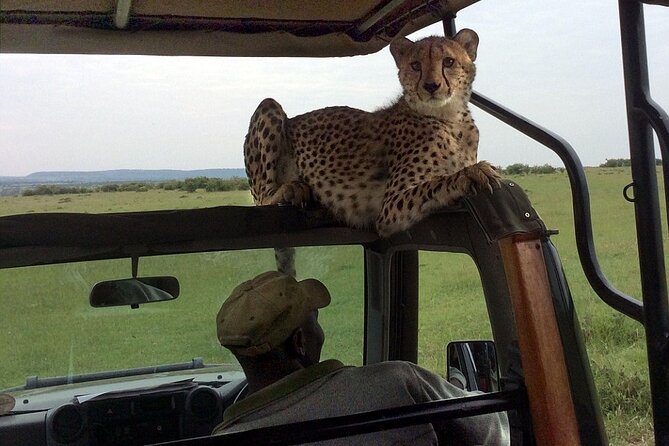3 Days Masai Mara Budget Camping Safari on 4X4 Land Cruiser - Safari Overview