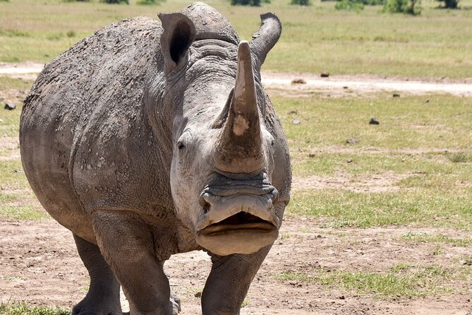 3 Days Masai Mara Luxury Safari - Tour Details