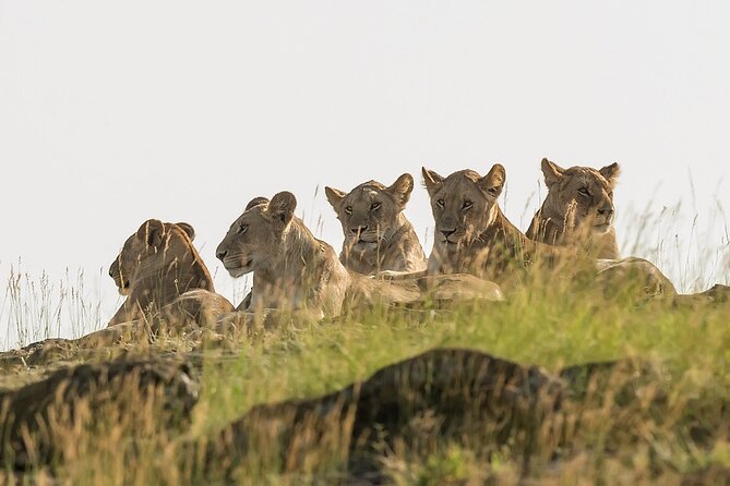 3 Days Masai Mara on Private 4x4 Land Cruiser - Itinerary Highlights