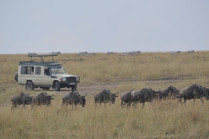 3-Days Masai Mara Rhythms Safari - Safari Itinerary