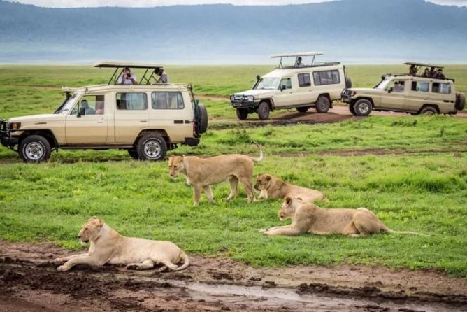 3 Days Mid - Range Lodge Safari To Tarangire, Lake Manyara & Ngorongoro Crater