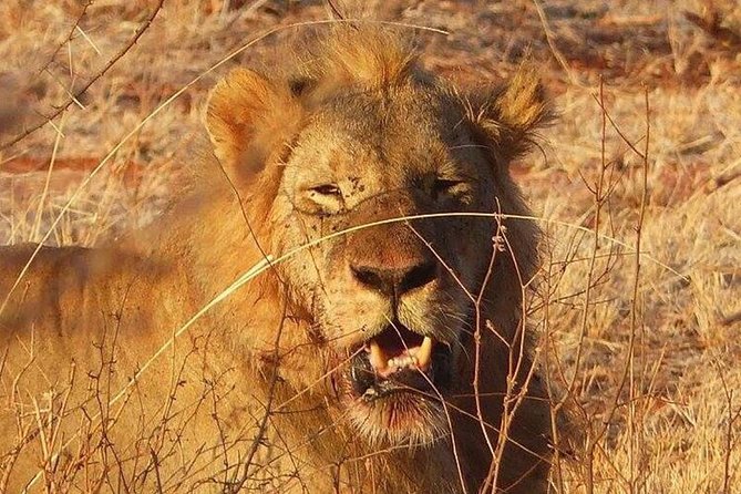 3 Days Mombasa, Taita Hills and Ngutuni Sanctuary Wildlife Safari - Itinerary Details