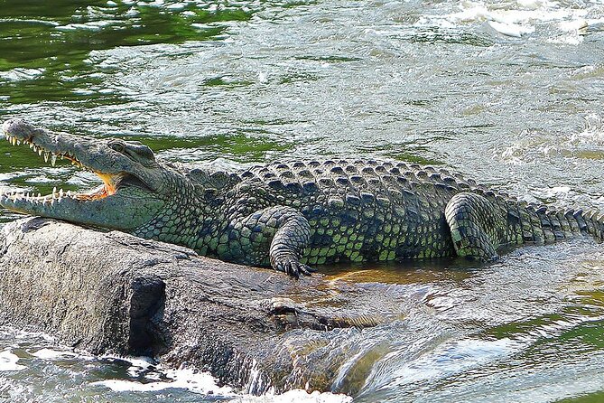 3-Days Murchison Falls and Ziwa Rhino Sanctuary