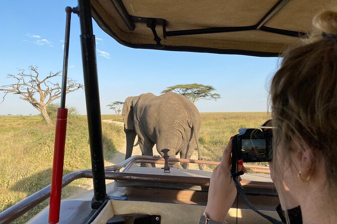 3 Days Private Budget Safari to Tarangire and Ngorongoro Crater - Inclusions and Exclusions