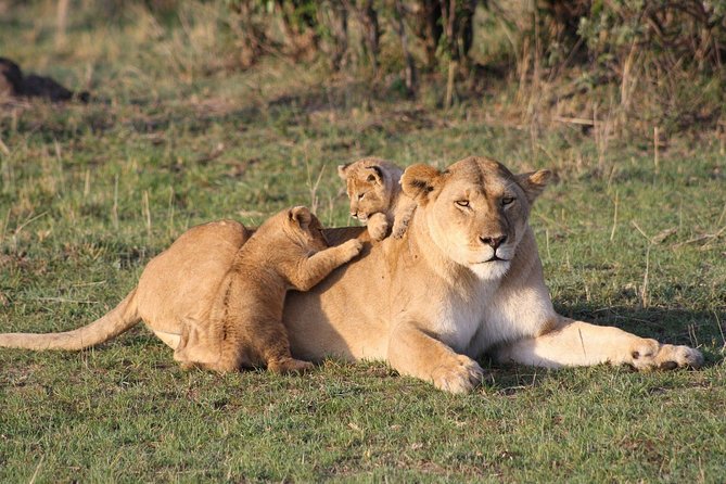 3 Days Private Masai Mara Safari - Optional Activities