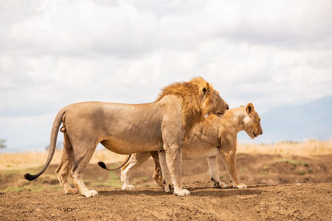 3 Days Private Mikumi National Park Wildlife Encounter Safari Tour - Itinerary Highlights