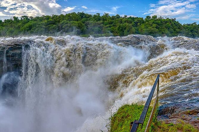 3 Days Private Tour in Murchison Falls National Park - Day 2: Safari Adventures and Wildlife Encounters