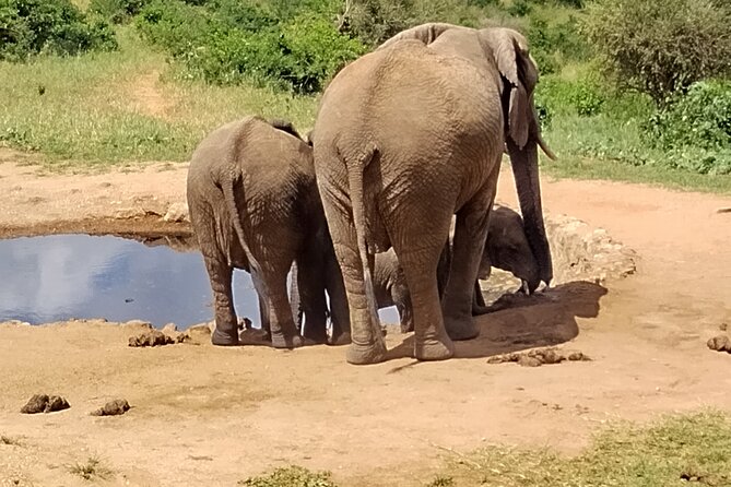 3 Days Safari Amboseli Taita Hills Saltlick Lodge - Safari Itinerary Overview