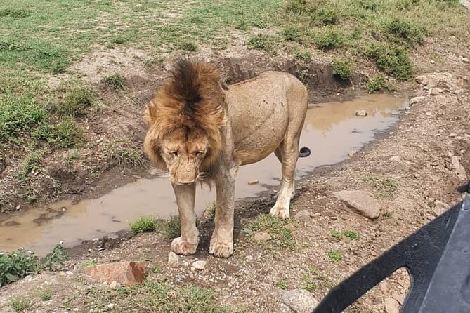 3 Days Safari in North- Ngorongoro, Tarangire, Mt. Oldeani - Safari Itinerary and Highlights