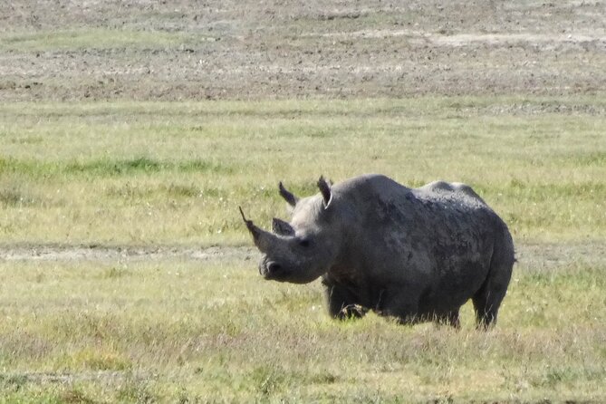 3 Days Safari Serengeti NP and Ngorongoro Crater - Tour Details