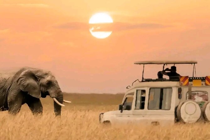 3 Days Safari to Tarangire, Ngorongoro and Manyara National Park - Safari Itinerary Overview