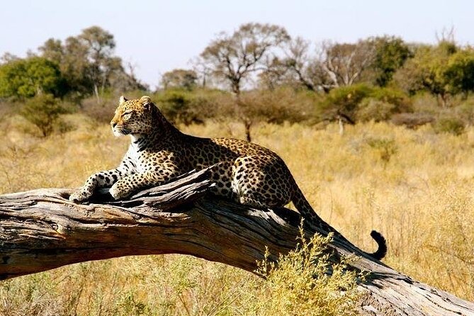 3 Days Samburu National Park Private Safari All Inclusive - Accommodation Details
