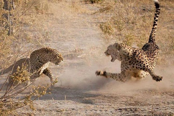 3 Days Serengeti National Park From Zanzibar - Itinerary Highlights