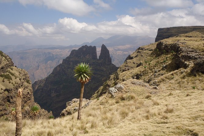 3 Days Simien Mountains Trekking