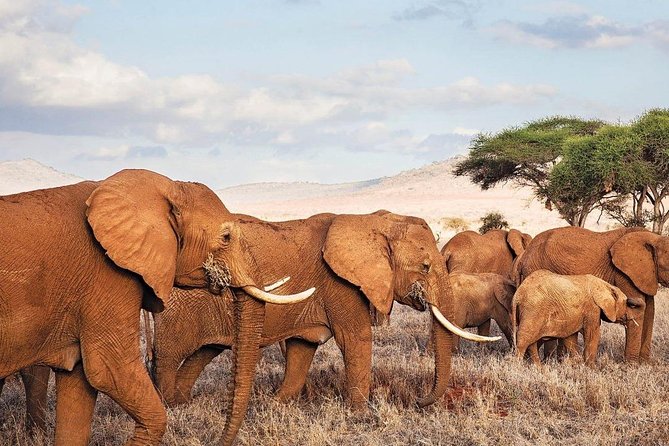 3 Days-Tarangire, Ngorongoro & Lake Manyara: Camping Joint Safari. - Itinerary Highlights