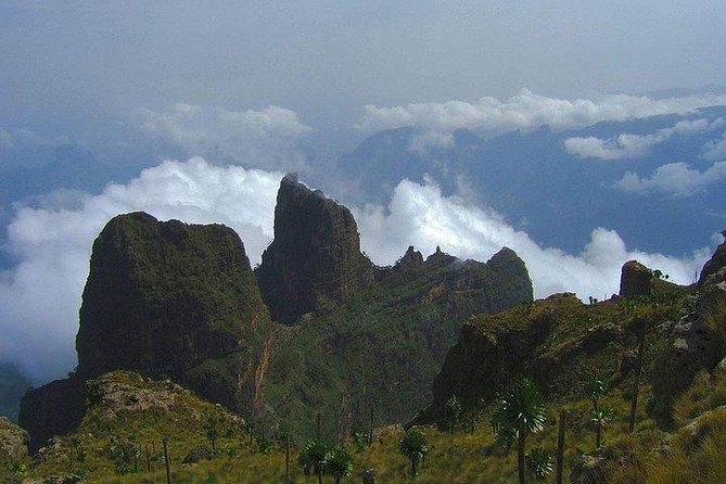 3 Days Trekking at Bale Mountains
