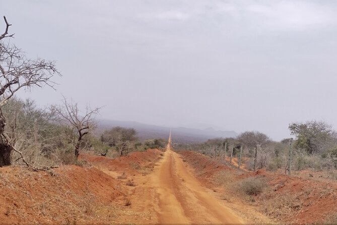 3 Days Tsavo East + Taita Hills/Saltlick Lodge From Malindi