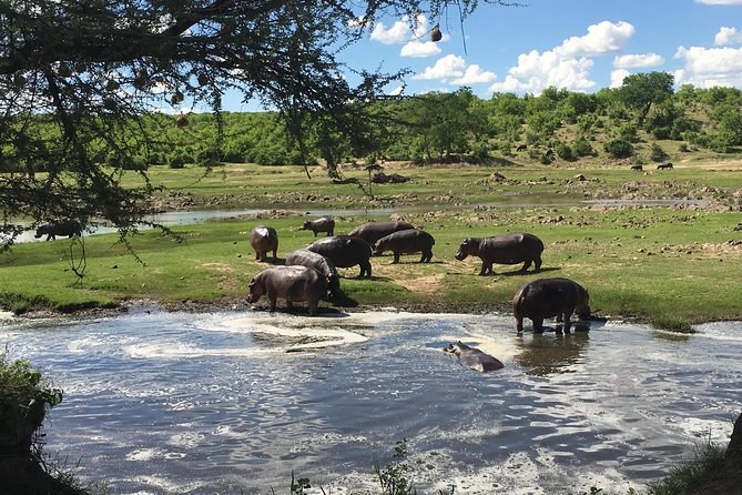 3 Days Unique Safari Selous Game Reserve Tanzania