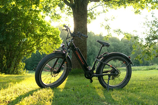 3-Hour Electric Fat Bike Rental
