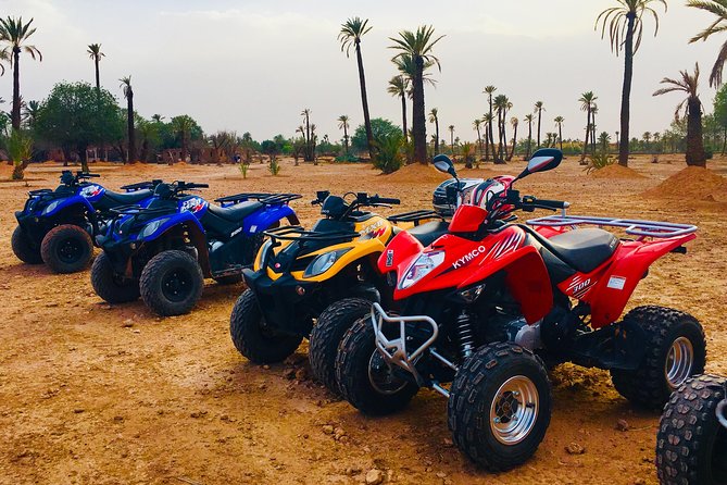 3 Hour Marrakech Combined Camel Ride & Quad Bike Tour