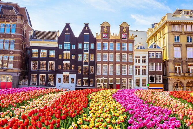 3 Hour Private Bike Tour in Amsterdam - Booking and Cancellation Policy