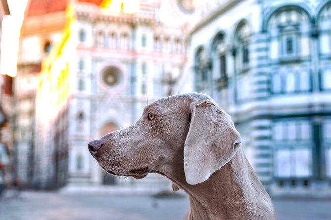 3-Hour Private Photographic Tour in Chianti and Val Dorcia Florence