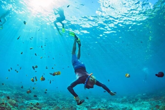 3 Hour Snorkeling and Dolphin Watching Experience in Muscat - Meeting and Pickup