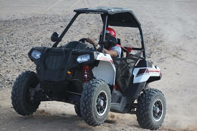 3 Hours Safari by Buggy Car & Camel Ride With Transfer – Marsa Alam