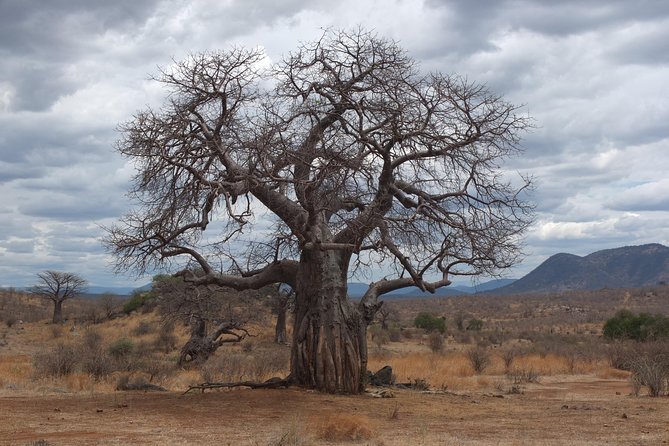 3 Nights 4 Days Ruaha National Park - Accommodation Details