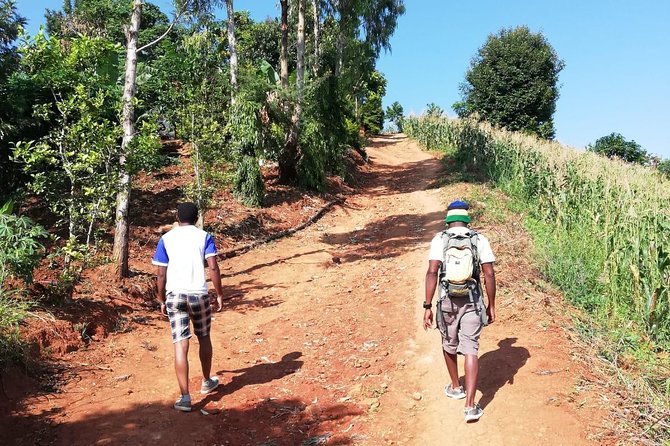 3days 2nights Tour to Uluguru Mountain and Mikumi National Park - Pickup Information