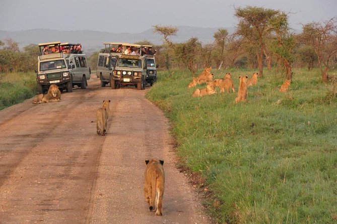 3days Tarangire,Ngorongoro Crater and Lake Manyara - Tour Itinerary