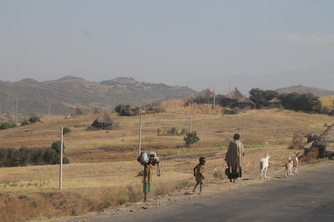4-Day Abune Yosef Conservation Area Trekking Tour From Lalibela - Tour Overview