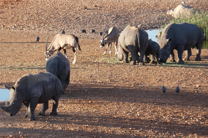 4 Day Etosha Safari Private Guided Tour Namibia - Accommodation Details