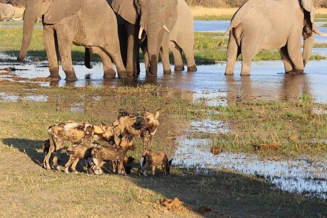 4-Day Gaborone – Maun Tour