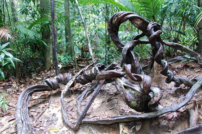 4-Day Jungle Experience in Taman Negara From Kuala Lumpur - Accommodations and Inclusions