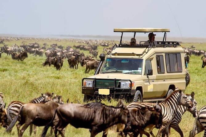 4 Day Masai Mara & Lake Nakuru Group Joining Camping Safari - Daily Departures - Inclusions